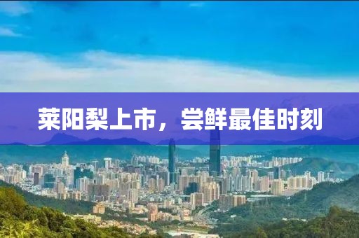 萊陽(yáng)梨上市，嘗鮮最佳時(shí)刻