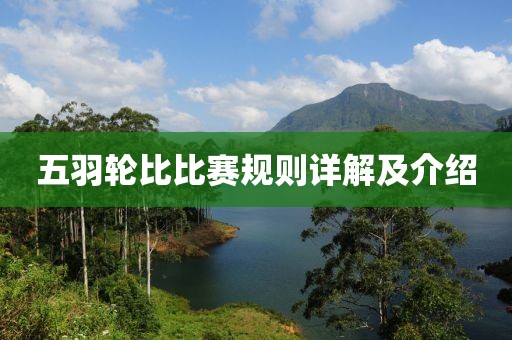 五羽輪比比賽規(guī)則詳解及介紹