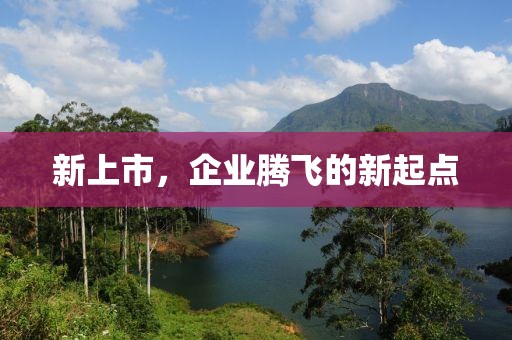 新上市，企業(yè)騰飛的新起點