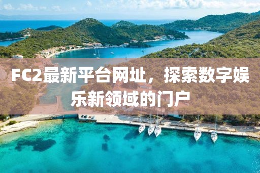 FC2最新平臺(tái)網(wǎng)址，探索數(shù)字娛樂(lè)新領(lǐng)域的門戶