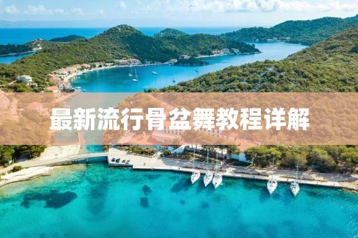 最新流行骨盆舞教程詳解
