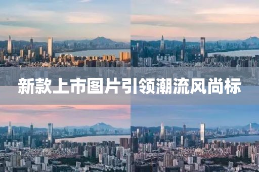 新款上市圖片引領(lǐng)潮流風(fēng)尚標(biāo)