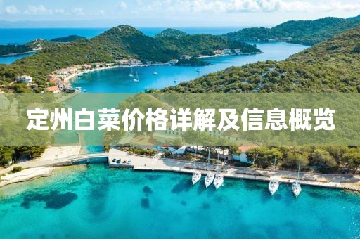 定州白菜價格詳解及信息概覽