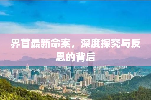 界首最新命案，深度探究與反思的背后
