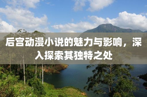 后宮動漫小說的魅力與影響，深入探索其獨(dú)特之處