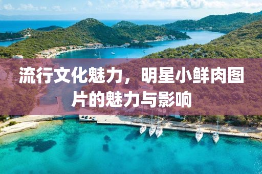 流行文化魅力，明星小鮮肉圖片的魅力與影響