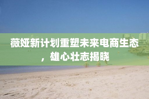 薇婭新計劃重塑未來電商生態(tài)，雄心壯志揭曉