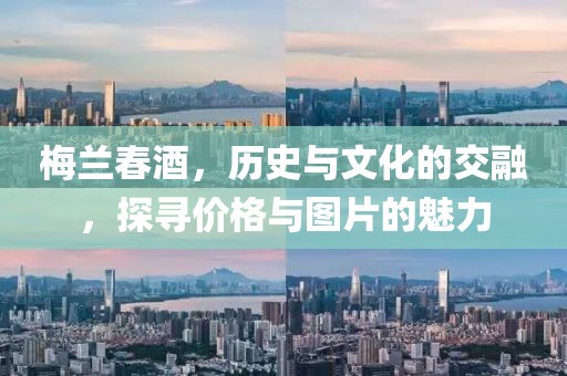 梅蘭春酒，歷史與文化的交融，探尋價格與圖片的魅力