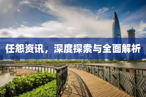 任怨資訊，深度探索與全面解析