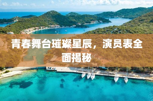 青春舞臺(tái)璀璨星辰，演員表全面揭秘