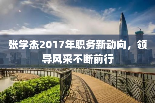 張學(xué)杰2017年職務(wù)新動向，領(lǐng)導(dǎo)風(fēng)采不斷前行