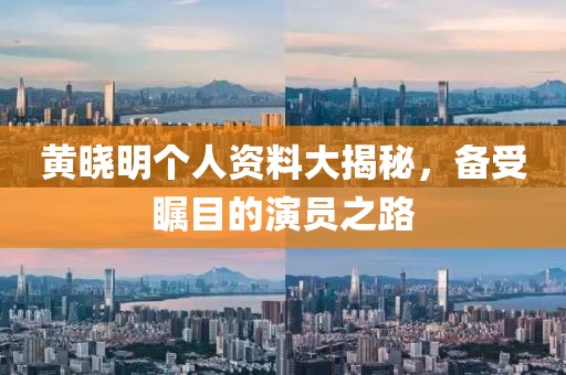黃曉明個人資料大揭秘，備受矚目的演員之路