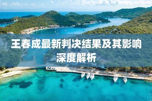 王春成最新判決結(jié)果及其影響深度解析