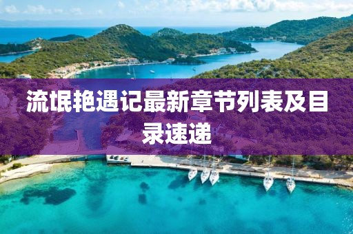 流氓艷遇記最新章節(jié)列表及目錄速遞