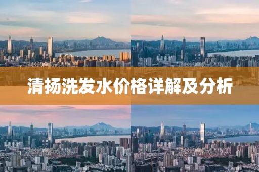 清揚洗發(fā)水價格詳解及分析