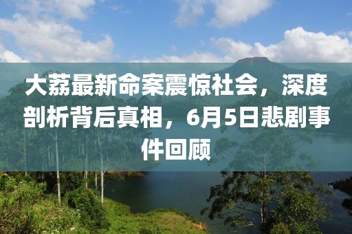 大荔最新命案震驚社會，深度剖析背后真相，6月5日悲劇事件回顧