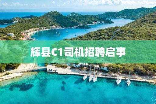 輝縣C1司機招聘啟事