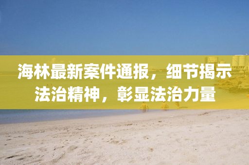 海林最新案件通報(bào)，細(xì)節(jié)揭示法治精神，彰顯法治力量