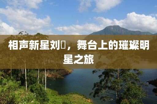 相聲新星劉喆，舞臺(tái)上的璀璨明星之旅
