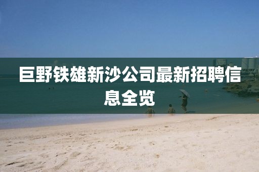 巨野鐵雄新沙公司最新招聘信息全覽