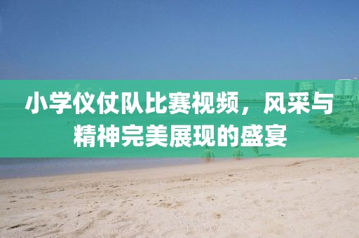 小學(xué)儀仗隊(duì)比賽視頻，風(fēng)采與精神完美展現(xiàn)的盛宴