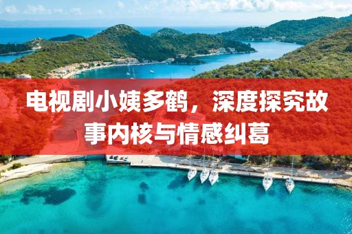 電視劇小姨多鶴，深度探究故事內(nèi)核與情感糾葛