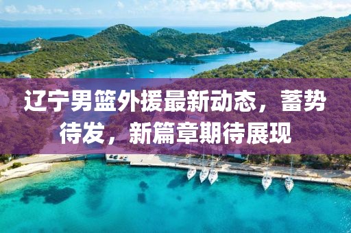 遼寧男籃外援最新動態(tài)，蓄勢待發(fā)，新篇章期待展現(xiàn)