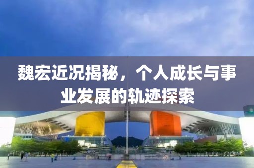 魏宏近況揭秘，個人成長與事業(yè)發(fā)展的軌跡探索