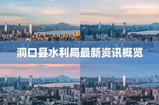 洞口縣水利局最新資訊概覽