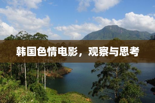 韓國(guó)色情電影，觀察與思考