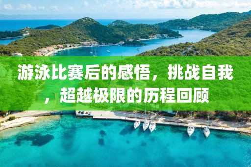 游泳比賽后的感悟，挑戰(zhàn)自我，超越極限的歷程回顧