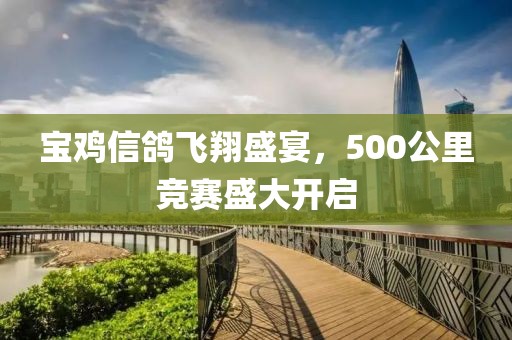 寶雞信鴿飛翔盛宴，500公里競(jìng)賽盛大開(kāi)啟