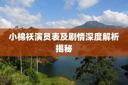 小棉襖演員表及劇情深度解析揭秘