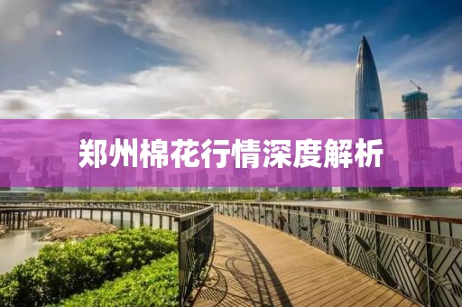 鄭州棉花行情深度解析