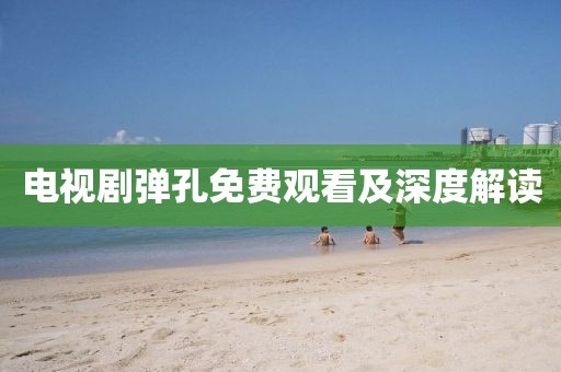 電視劇彈孔免費(fèi)觀看及深度解讀