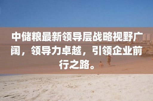 中儲糧最新領導層戰(zhàn)略視野廣闊，領導力卓越，引領企業(yè)前行之路。