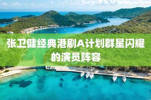 張衛(wèi)健經(jīng)典港劇A計(jì)劃群星閃耀的演員陣容
