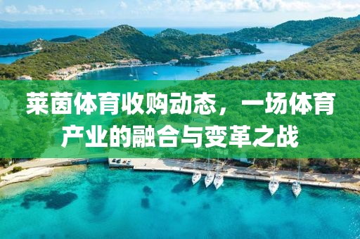 萊茵體育收購動態(tài)，一場體育產(chǎn)業(yè)的融合與變革之戰(zhàn)