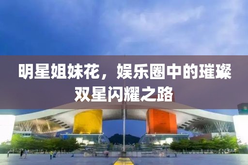 明星姐妹花，娛樂(lè)圈中的璀璨雙星閃耀之路