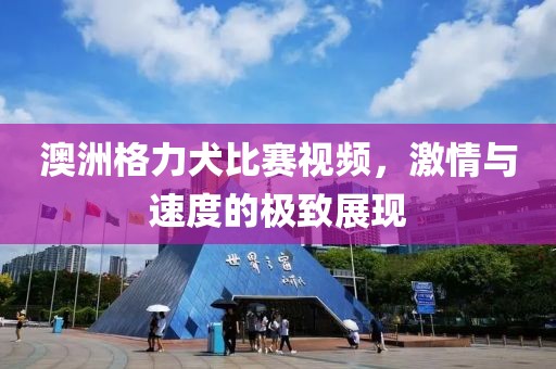 澳洲格力犬比賽視頻，激情與速度的極致展現(xiàn)