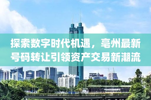 探索數字時代機遇，亳州最新號碼轉讓引領資產交易新潮流