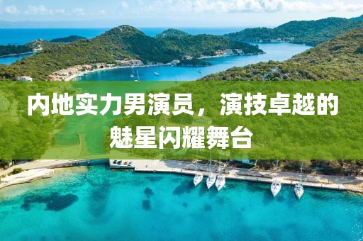 內(nèi)地實(shí)力男演員，演技卓越的魅星閃耀舞臺(tái)