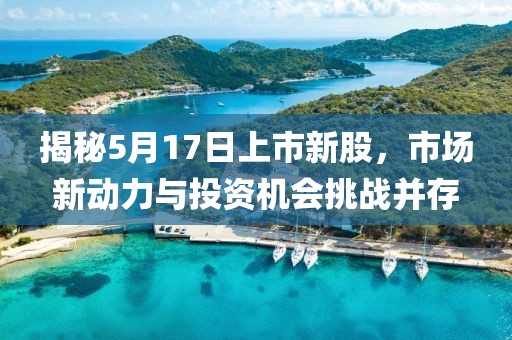 揭秘5月17日上市新股，市場新動力與投資機會挑戰(zhàn)并存