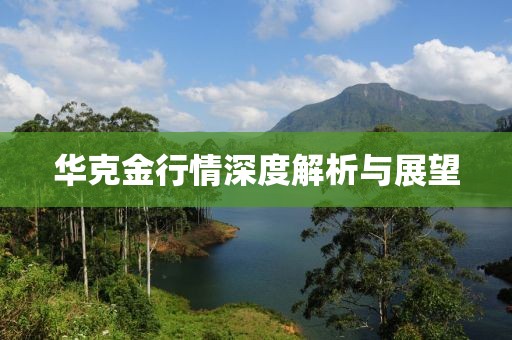 華克金行情深度解析與展望
