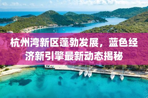 杭州灣新區(qū)蓬勃發(fā)展，藍(lán)色經(jīng)濟(jì)新引擎最新動態(tài)揭秘