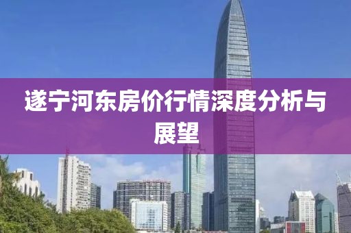 遂寧河?xùn)|房價(jià)行情深度分析與展望