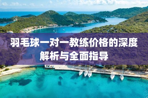 羽毛球一對(duì)一教練價(jià)格的深度解析與全面指導(dǎo)
