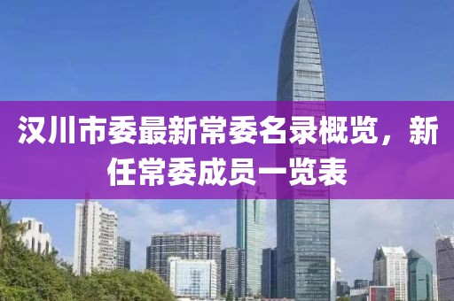 漢川市委最新常委名錄概覽，新任常委成員一覽表