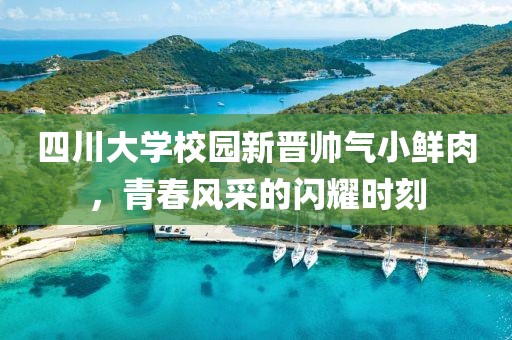 四川大學校園新晉帥氣小鮮肉，青春風采的閃耀時刻