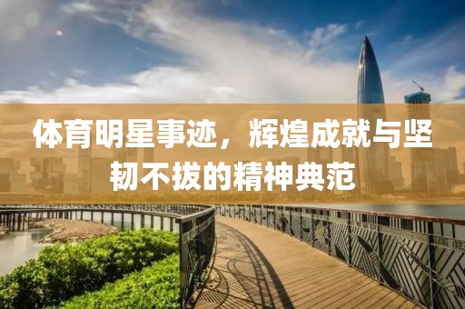 體育明星事跡，輝煌成就與堅韌不拔的精神典范